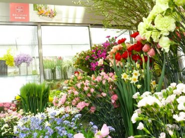 兵庫県神戸市兵庫区の花屋 花保にフラワーギフトはお任せください 当店は 安心と信頼の花キューピット加盟店です 花キューピットタウン